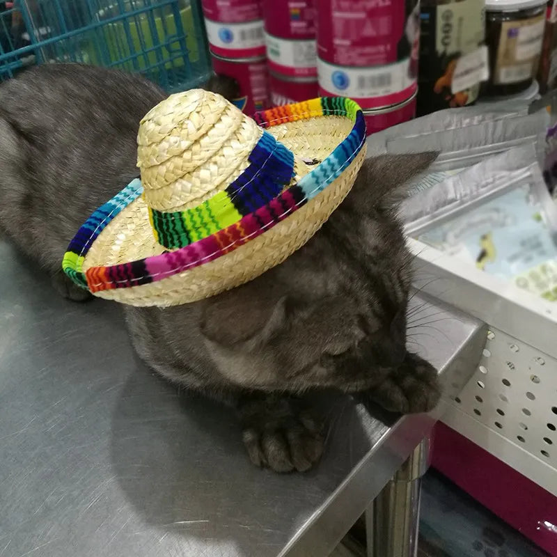 Cute Straw Woven Sun Hat for Dogs and Cats, Adjustable Cap, Mexican Sombrero, Pet Supplies, Cute Costume for Dogs