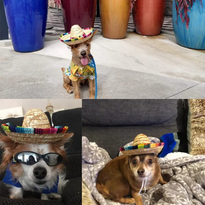 Cute Straw Woven Sun Hat for Dogs and Cats, Adjustable Cap, Mexican Sombrero, Pet Supplies, Cute Costume for Dogs