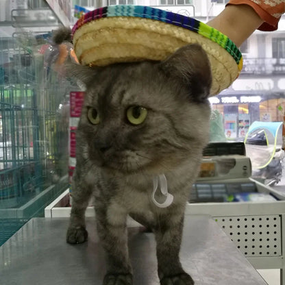 Cute Straw Woven Sun Hat for Dogs and Cats, Adjustable Cap, Mexican Sombrero, Pet Supplies, Cute Costume for Dogs