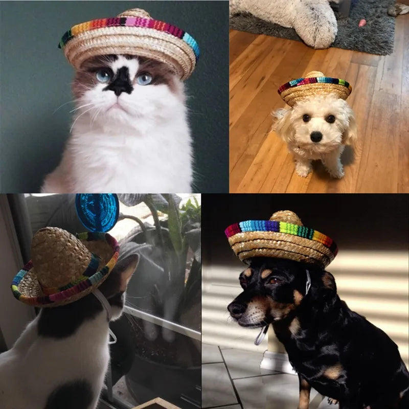 Cute Straw Woven Sun Hat for Dogs and Cats, Adjustable Cap, Mexican Sombrero, Pet Supplies, Cute Costume for Dogs