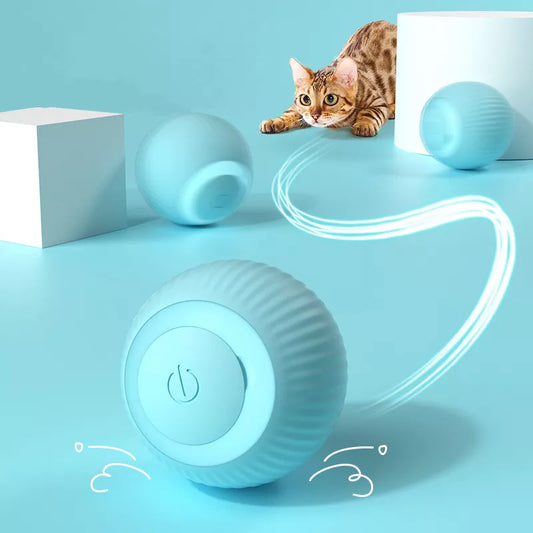 Interactive smart toy for Cats Training