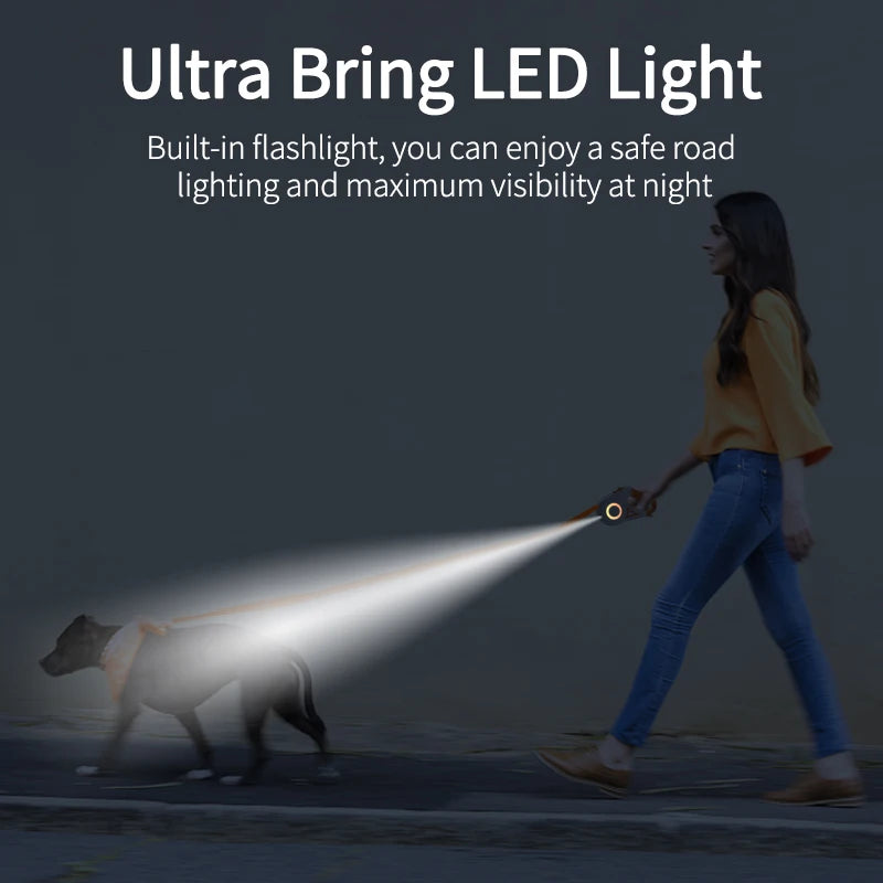 Fashion Light Straps For Pets