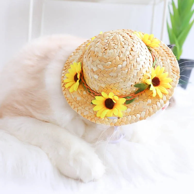 Cute Straw Woven Sun Hat for Dogs and Cats, Adjustable Cap, Mexican Sombrero, Pet Supplies, Cute Costume for Dogs